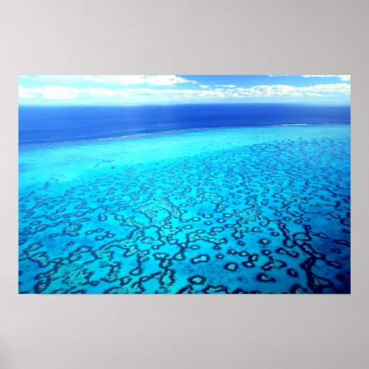 Heron Island Reef Poster (Voorkant)