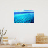 Heron Island Reef Poster (Keuken)