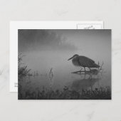 Heron Morning Briefkaart (Voorkant / Achterkant)