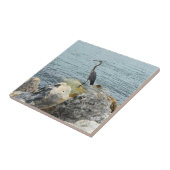 Heron On Rocks At Beach Tegeltje (Zijkant)