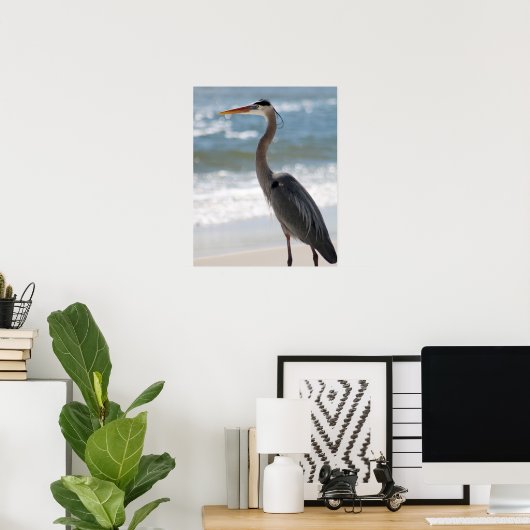 Heron op het profiel van het strand Kleur 16x20 Poster (Thuiskantoor)