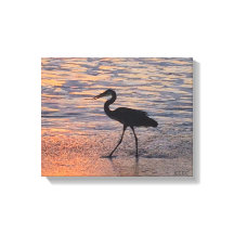 Heron op vroege ochtend wandeling