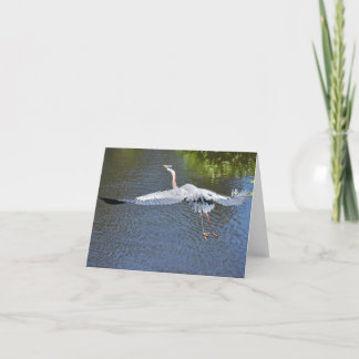 Heron over het water #4 - Blanco briefkaart