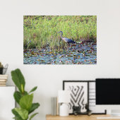 Heron P6450 Poster (Thuiskantoor)