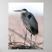 Heron Poster (Voorkant)