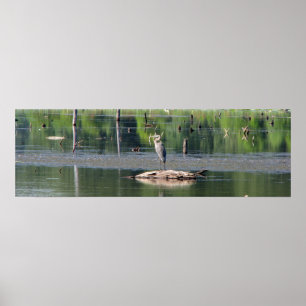 Heron Poster