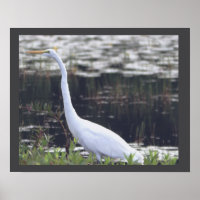 Heron Poster