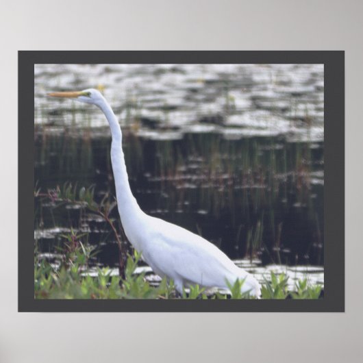 Heron Poster (Voorkant)