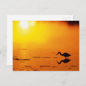 Heron silhouette bij zonsondergang, Florida Briefkaart (Voorkant / Achterkant)