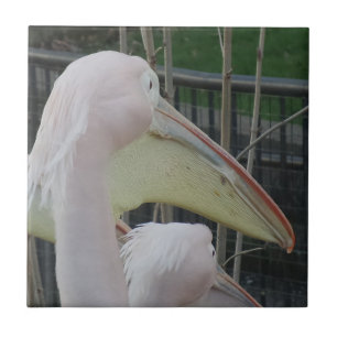 Heron Small (4,25 x 4,25 inch) keramische Tegel vo Tegeltje