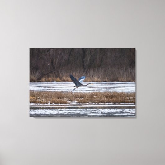 Heron-start Canvas Afdruk (Voorkant)