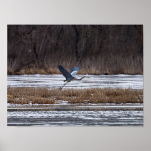 Heron-start Poster