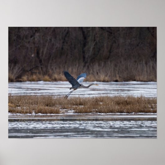 Heron-start Poster (Voorkant)
