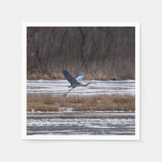 Heron-start Servet (Voorkant)