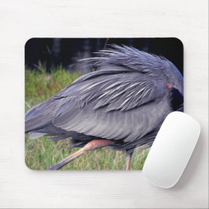 Heron Territory Muismat