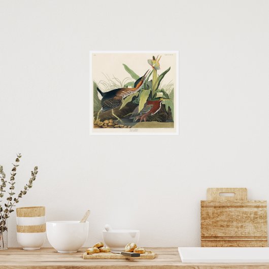 Heron vert par Audubon Poster (Cuisine)
