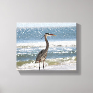 Heron vooraan volle oceaankleur 8x10 canvas afdruk