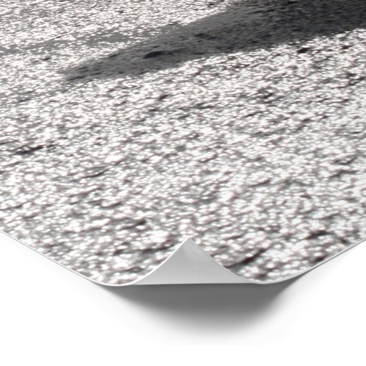 Heron Walking op Shore Poster (Hoek)