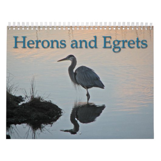 Heronen en groten kalender (Hoes)