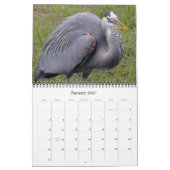 Herons Groot en Klein Kalender (Jan 2027)