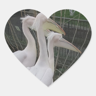 Herons Heart Sticker