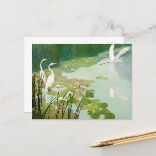 Herons in de zomer door Newell Convers Wyeth Feestdagenkaart
