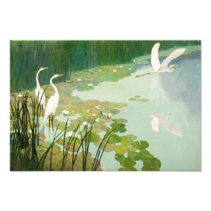 Herons in de zomer door Newell Convers Wyeth Foto Afdruk