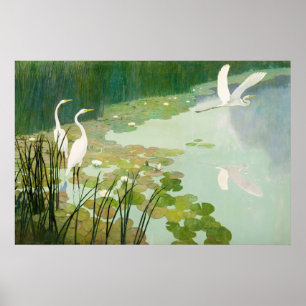 Herons in de zomer door Newell Convers Wyeth Poster