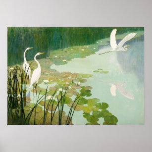 Herons in de zomer door Newell Convers Wyeth Poster