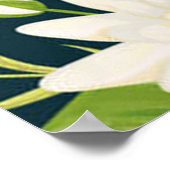 Herons White Lily Green Foliage Waterig landschap Poster (Hoek)