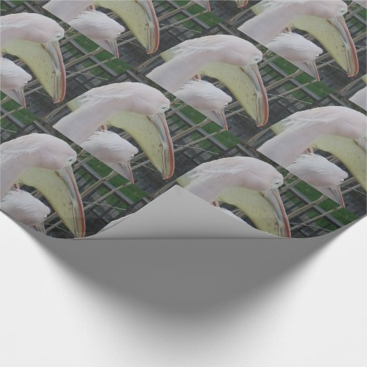 Heronverpakpapier Cadeaupapier (Hoek)