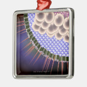 Herpes Virus Metalen Ornament (Links)