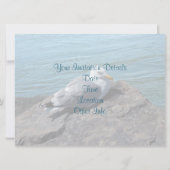 Herring Gull Resting on Rock Jetty: Kaart (Achterkant)