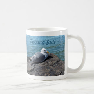 Herring Gull Resting on Rock Jetty: Koffiemok