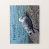 Herring Gull Resting on Rock Jetty: Legpuzzel (Verticaal)