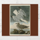 Herring Gull uit John Audubon's Birds of America Bier Etiket (Enkel label)