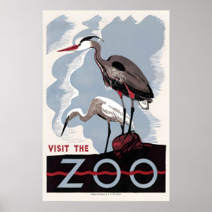 Herron Amerikaanse Roerdomp Dierentuin Vogel Recla Poster