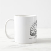  hersenanatomie koffiemok (Links)