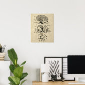 Hersenanatomie nr. 8 met Cream Achtergrond Poster (Thuiskantoor)