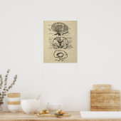 Hersenanatomie nr. 8 met Cream Achtergrond Poster (Keuken)