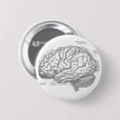  hersenanatomie ronde button 5,7 cm (Voorkant /achterkant)