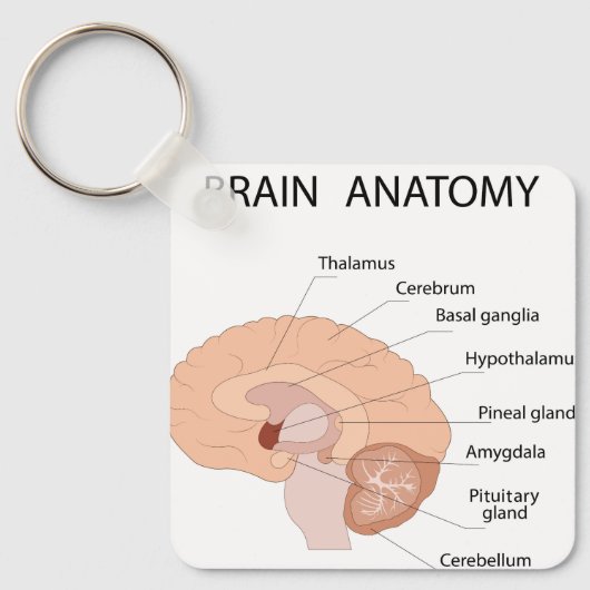 Hersenanatomie Sleutelhanger (Voorkant)