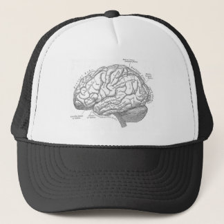 hersenanatomie trucker pet