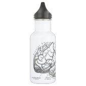 hersenanatomie waterfles (Links)