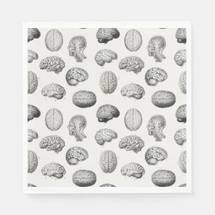 Hersenen Anatomie Biologie Illustraties Servet