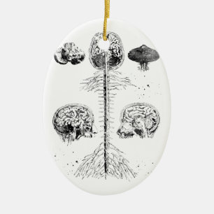 Hersenen en wervelkolom keramisch ornament