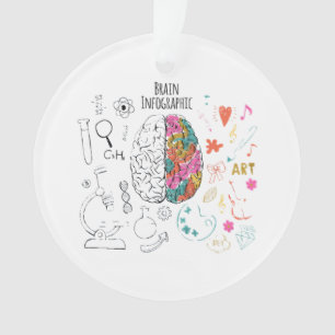 Hersenen Infographic Ornament