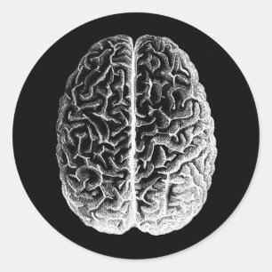 Hersenen! Ronde Sticker