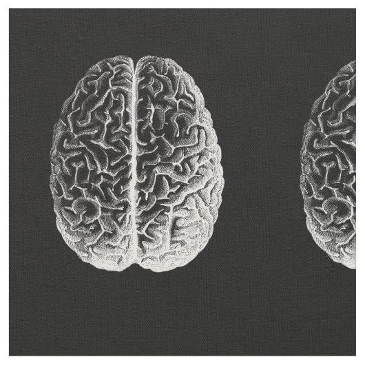 Hersenen! Stof (Close Up)