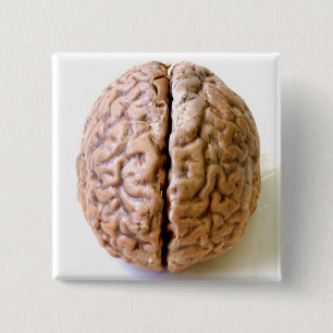 hersenknop vierkante button 5,1 cm